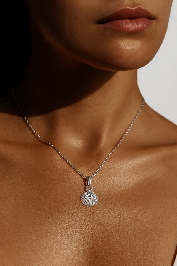 Scallop shell